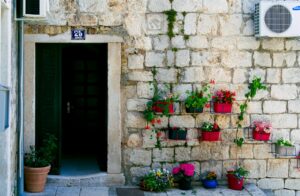 green wooden door with red flowers